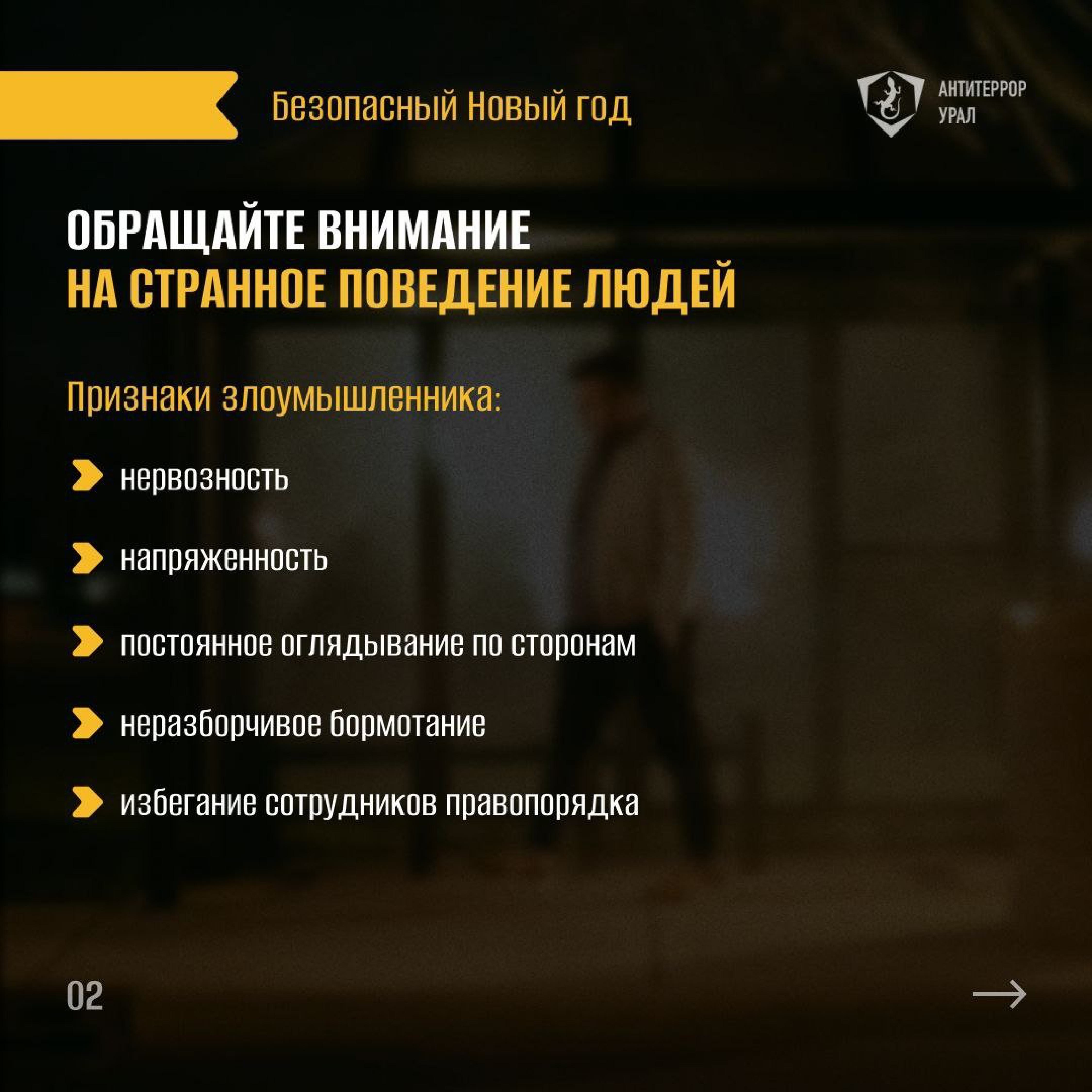 Памятки Безопасный новый год изображения 0